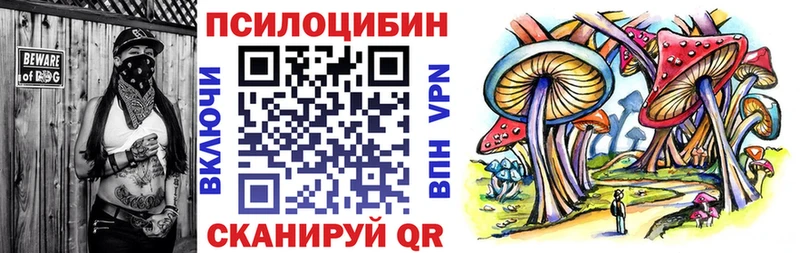 где купить наркотик  Зима  OMG зеркало  Псилоцибиновые грибы GOLDEN TEACHER 